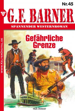Cover of the book G.F. Barner 45 – Western by G.F. Barner