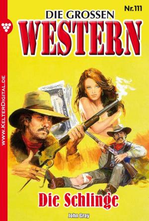 Cover of the book Die großen Western 111 by Susanne Svanberg