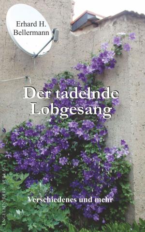Cover of the book Der tadelnde Lobgesang by B. Horst Feuer