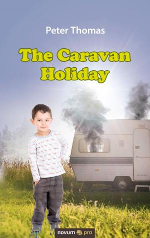 Cover of the book The Caravan Holiday by Trudy Smith