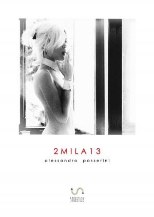 Cover of the book 2Mila13 by Anastasia Volnaya