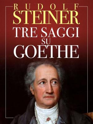 bigCover of the book Tre Saggi su Goethe by 