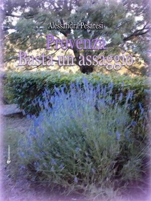 Cover of the book Provenza basta un assaggio by Christy Gaynell