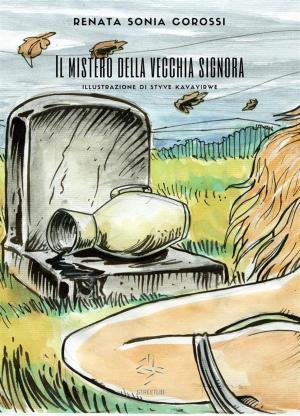 Book cover of Il mistero della vecchia signora