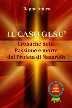 Cover of Il caso Gesù - Cronache della Passione e morte del profeta di Nazareth