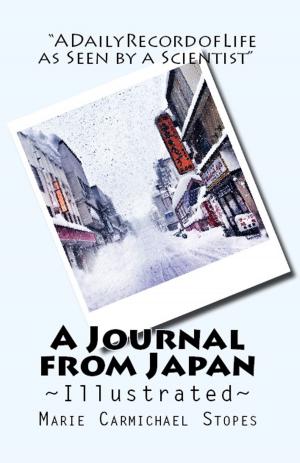 Book cover of A Journal from Japan