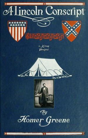 Book cover of A Lincoln Conscript