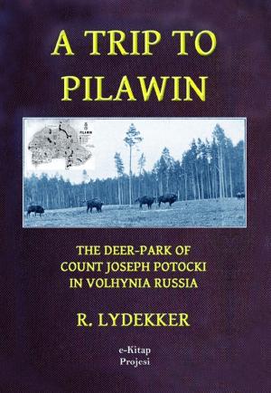 Cover of the book A Trip to Pilawin by Jonas Lie