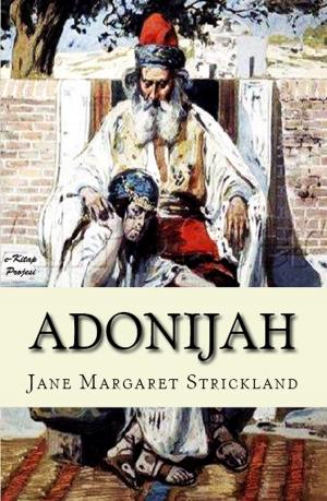 Cover of the book Adonijah by John H. Cady, Basil Woon