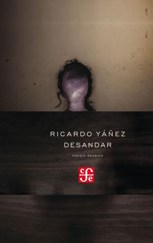 Cover of the book Desandar by José Arturo Oliveros Morales