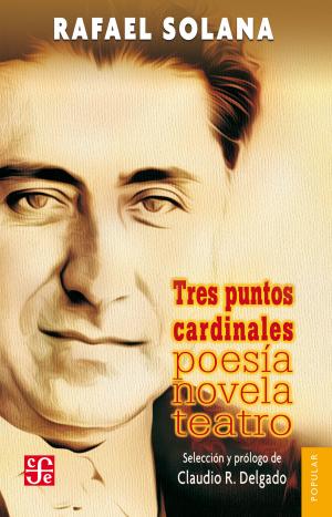 Cover of the book Tres puntos cardinales by Federico Gamboa