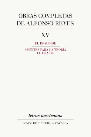 Cover of the book Obras completas, XV by Ralph Roeder
