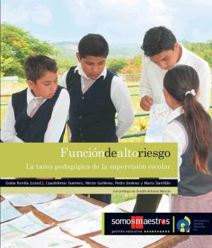 Cover of the book Función de alto riesgo by Ricardo Chávez Castañeda