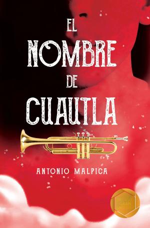 Cover of the book El nombre de Cuautla by Alfonso Orejel