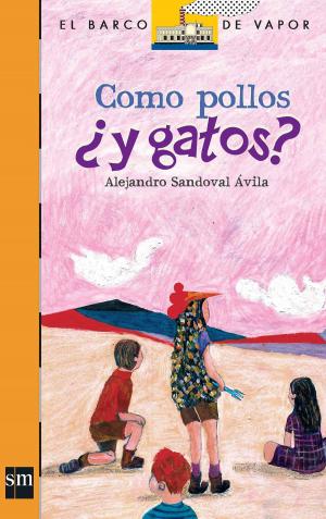 Cover of the book Como pollo ¿y gatos? by Mónica B. Brozon
