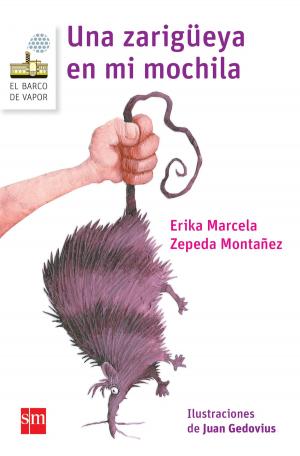 Cover of the book Una zarigüeya en mi mochila by Carmen Leñero