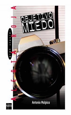 Cover of the book Objetivo miedo by Edmée Pardo