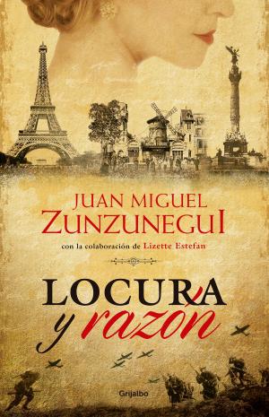 Cover of the book Locura y razón by Valeria Lozano