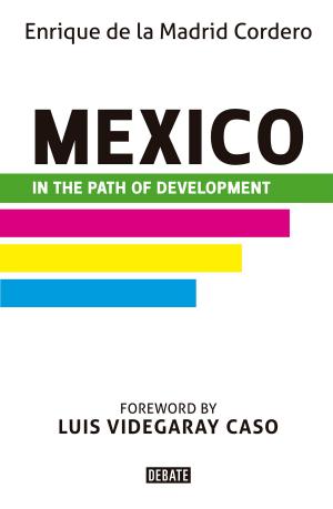Cover of the book Mexico in the Path of Development by Andrés Oppenheimer