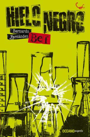 Cover of the book Hielo negro by José Martínez