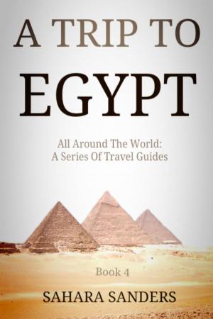 Cover of the book A Trip To Egypt by Sahara Sanders