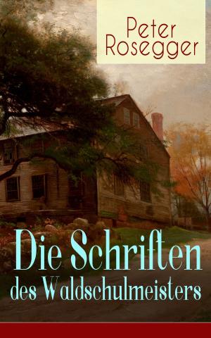 Cover of the book Die Schriften des Waldschulmeisters by Wilhelm Busch