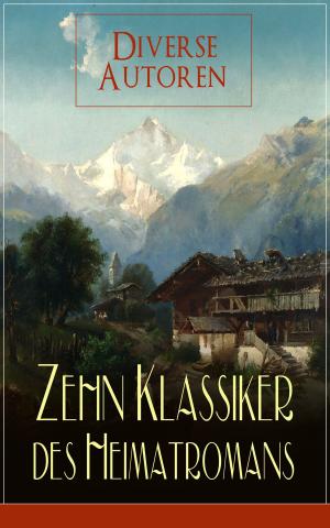Cover of the book Zehn Klassiker des Heimatromans by Rosa Luxemburg