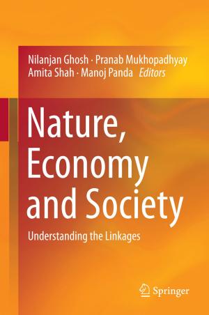 Cover of the book Nature, Economy and Society by Aashish Srivastava