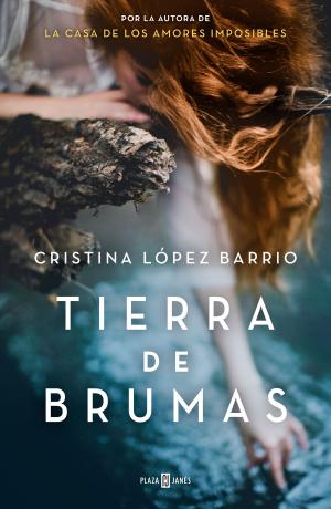Cover of the book Tierra de brumas by Lars Kepler