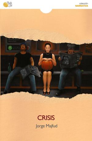 Cover of the book Crisis by Ana Pérez Cañamares