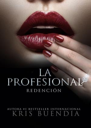 Cover of the book Redención by Lily Bloom
