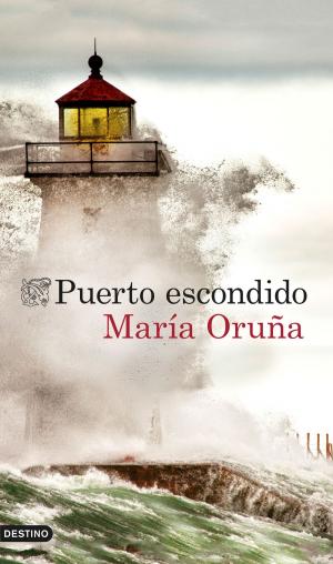 Cover of the book Puerto escondido by Lorenzo Silva, Noemí Trujillo
