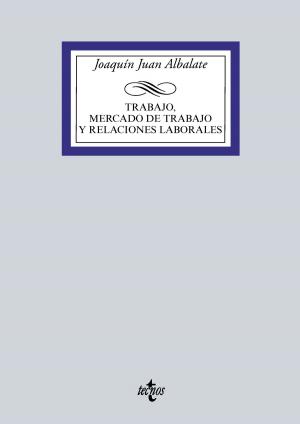 Cover of the book Trabajo, mercado de trabajo y relaciones laborales by Juan Luis Pulido Begines