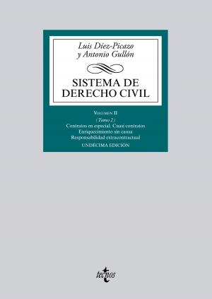 Cover of the book Sistema de Derecho Civil by Juan Luis Pulido Begines