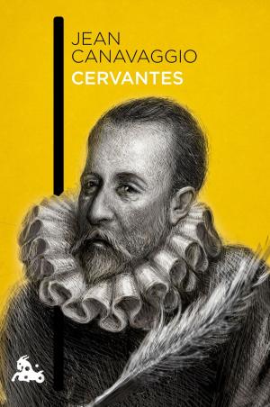 Cover of the book Cervantes by Miguel Delibes