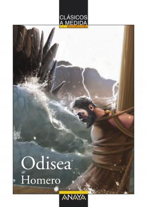 Cover of the book Odisea by Hermes Mercurius Trismegistus