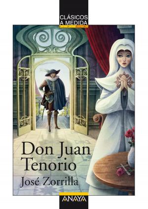 Cover of the book Don Juan Tenorio by Pedro Calderón de la Barca, Emilio Fontanilla Debesa