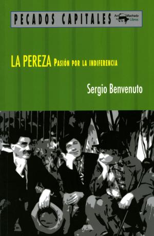 Cover of the book La pereza by J. David Velleman
