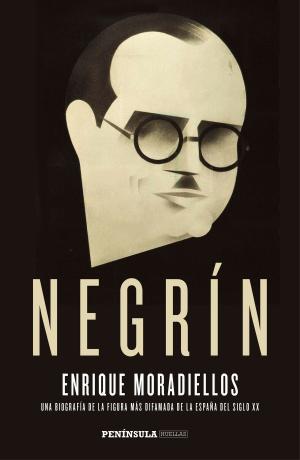 Cover of the book Negrín by Víctor Martín Pérez