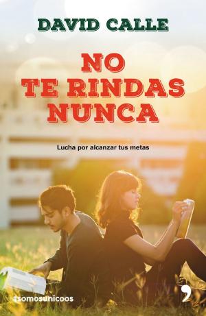 Cover of the book No te rindas nunca by David Lagercrantz