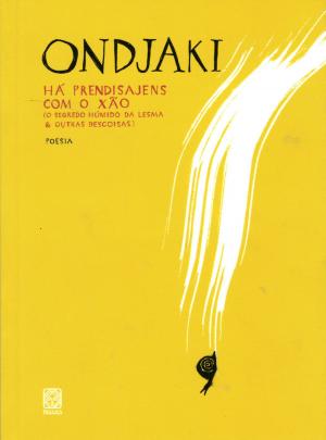 Cover of the book Há prendisajens com o xão by Cloud Buchholz