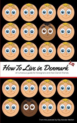 Cover of the book How to Live in Denmark by Christiane Franke, Hans-Peter Schneider