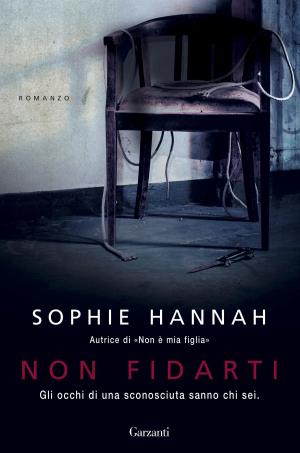 Book cover of Non fidarti