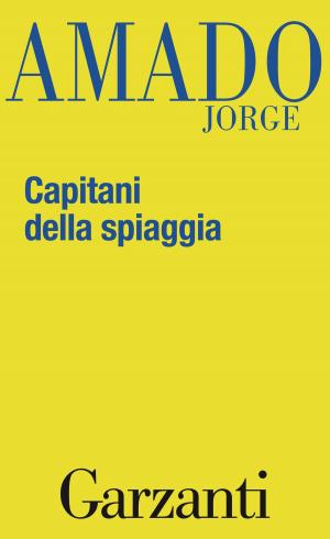 Book cover of Capitani della spiaggia