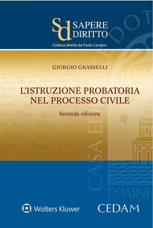 Cover of the book L'istruzione probatoria nel processo civile by Francesco Capriglione