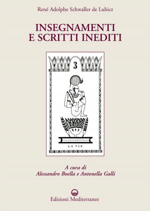 Cover of the book Insegnamenti e scritti inediti by Julius Evola