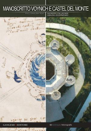 Cover of the book Manoscritto Voynich e Castel del Monte by David Frapiccini