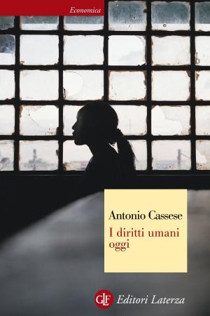 Cover of the book I diritti umani oggi by Emilio Garroni