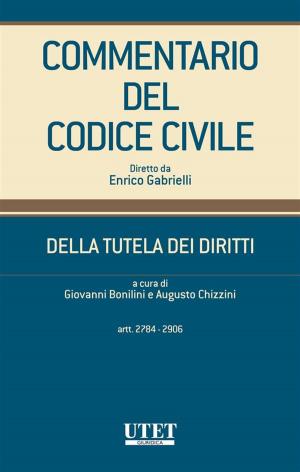 Cover of the book Commentario del Codice civile diretto da Enrico Gabrielli by Cicerone