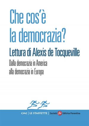 Book cover of Che cos’è la democrazia? Lettura di Alexis de Tocqueville